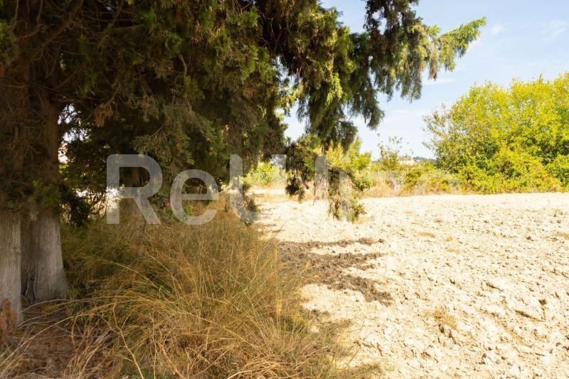 Photo 12,Τοπίο,ΠΏΛΗΣΗ,Γη,Αγροτεμάχιο,6000τ.μ,€150,000,Καλάνδρα