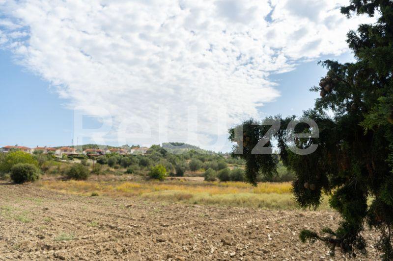 Photo 13,Τοπίο,ΠΏΛΗΣΗ,Γη,Αγροτεμάχιο,6000τ.μ,€150,000,Καλάνδρα