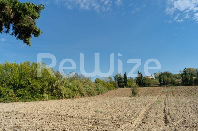 Photo 1,Τοπίο,ΠΏΛΗΣΗ,Γη,Αγροτεμάχιο,6000τ.μ,€150,000,Καλάνδρα