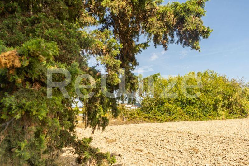 Photo 14,Τοπίο,ΠΏΛΗΣΗ,Γη,Αγροτεμάχιο,6000τ.μ,€150,000,Καλάνδρα