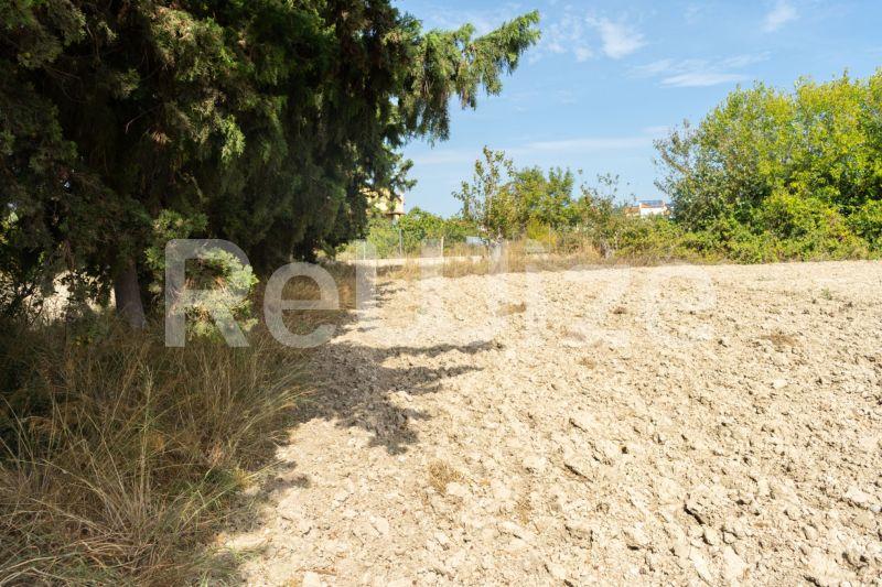 Photo 15,Τοπίο,ΠΏΛΗΣΗ,Γη,Αγροτεμάχιο,6000τ.μ,€150,000,Καλάνδρα