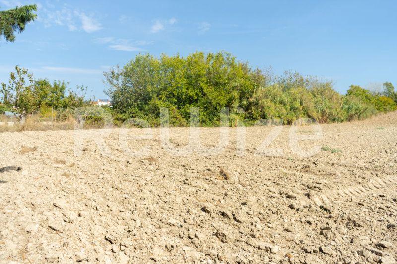 Photo 16,Τοπίο,ΠΏΛΗΣΗ,Γη,Αγροτεμάχιο,6000τ.μ,€150,000,Καλάνδρα