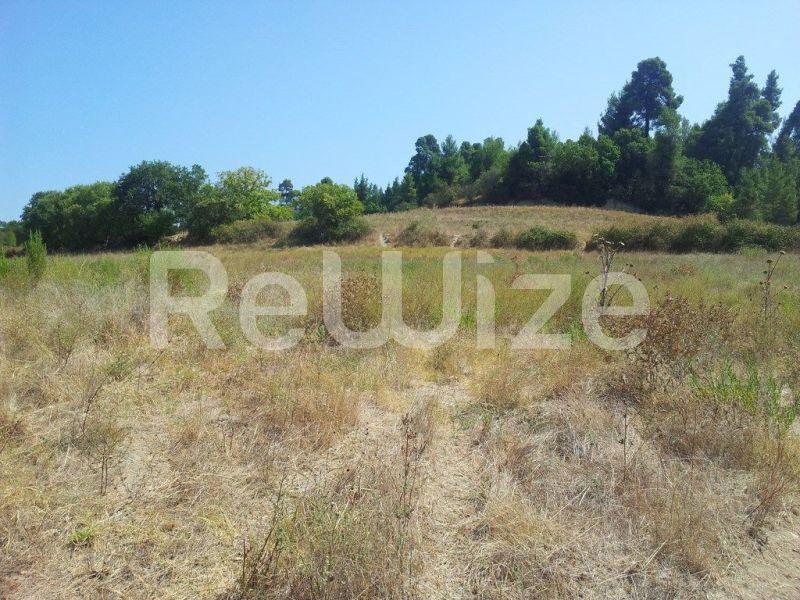 Photo 1,Τοπίο,ΠΏΛΗΣΗ,Γη,Αγροτεμάχιο,8016τ.μ,€80,000,Κασσανδρινό