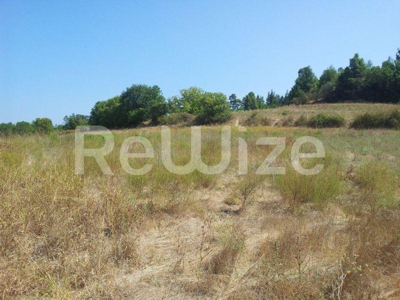 Photo 2,Τοπίο,ΠΏΛΗΣΗ,Γη,Αγροτεμάχιο,8016τ.μ,€80,000,Κασσανδρινό
