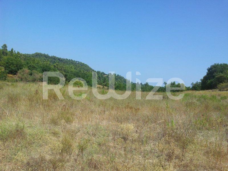 Photo 3,Τοπίο,ΠΏΛΗΣΗ,Γη,Αγροτεμάχιο,8016τ.μ,€80,000,Κασσανδρινό