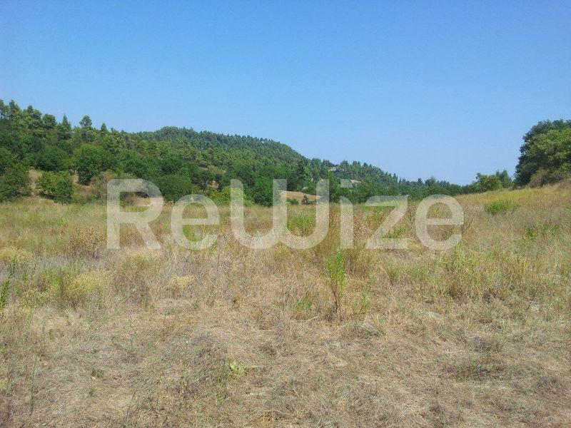 Photo 4,Τοπίο,ΠΏΛΗΣΗ,Γη,Αγροτεμάχιο,8016τ.μ,€80,000,Κασσανδρινό