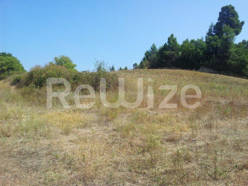 Photo 5,Τοπίο,ΠΏΛΗΣΗ,Γη,Αγροτεμάχιο,8016τ.μ,€80,000,Κασσανδρινό