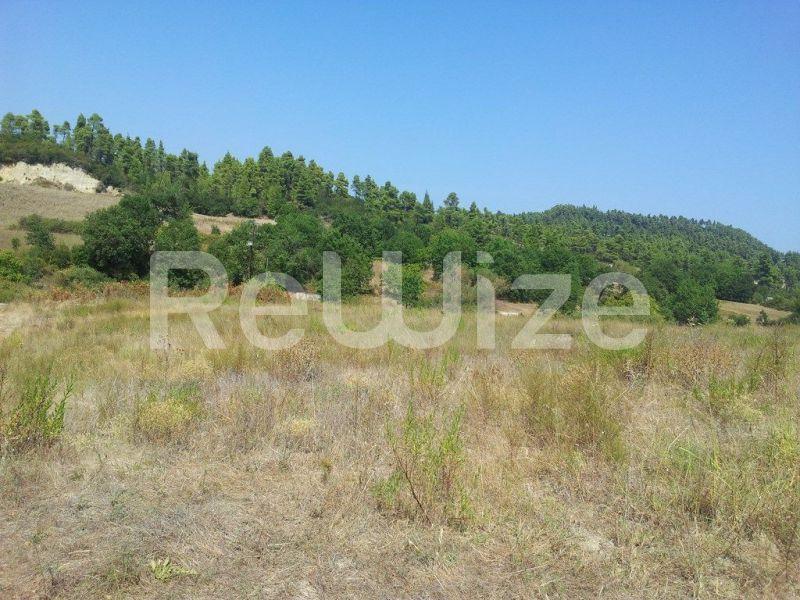 Photo 6,Τοπίο,ΠΏΛΗΣΗ,Γη,Αγροτεμάχιο,8016τ.μ,€80,000,Κασσανδρινό