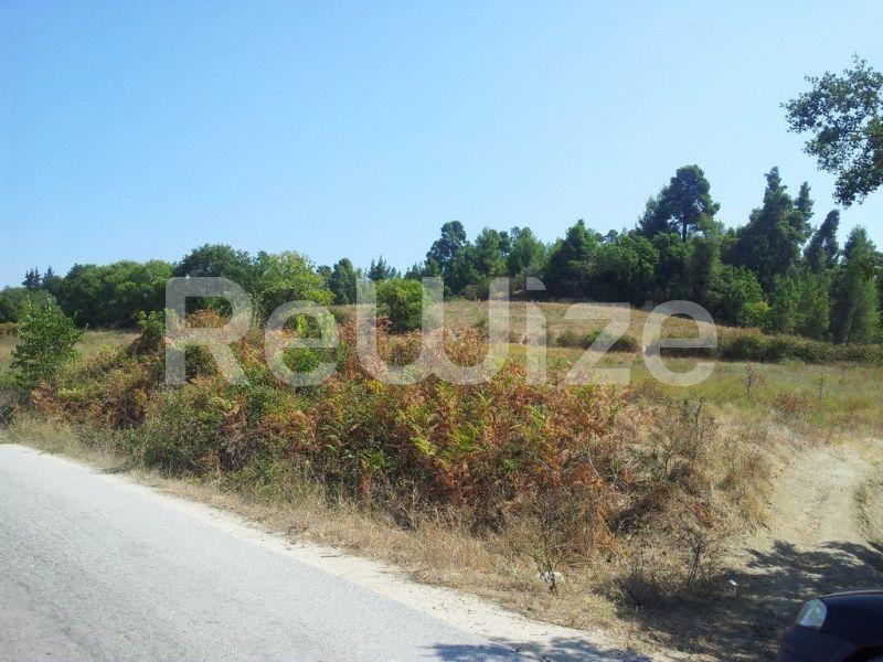 Photo 7,Τοπίο,ΠΏΛΗΣΗ,Γη,Αγροτεμάχιο,8016τ.μ,€80,000,Κασσανδρινό
