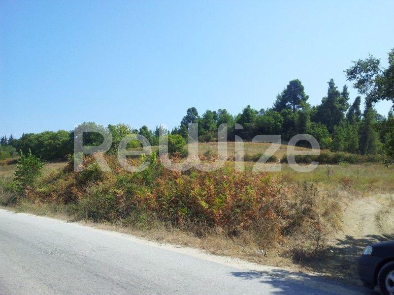 Photo 8,Τοπίο,ΠΏΛΗΣΗ,Γη,Αγροτεμάχιο,8016τ.μ,€80,000,Κασσανδρινό