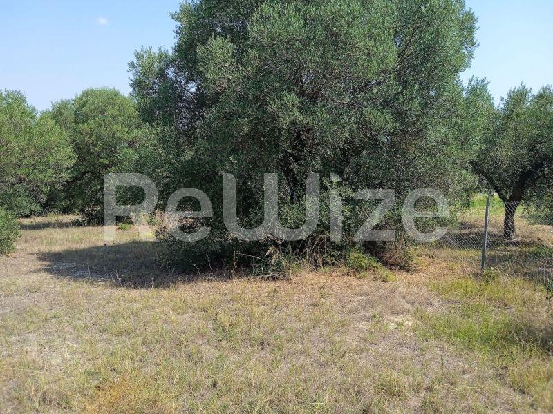 Photo 7,Landscape,SALE,Land,Field,5300sqm,€165,000,Poseidi