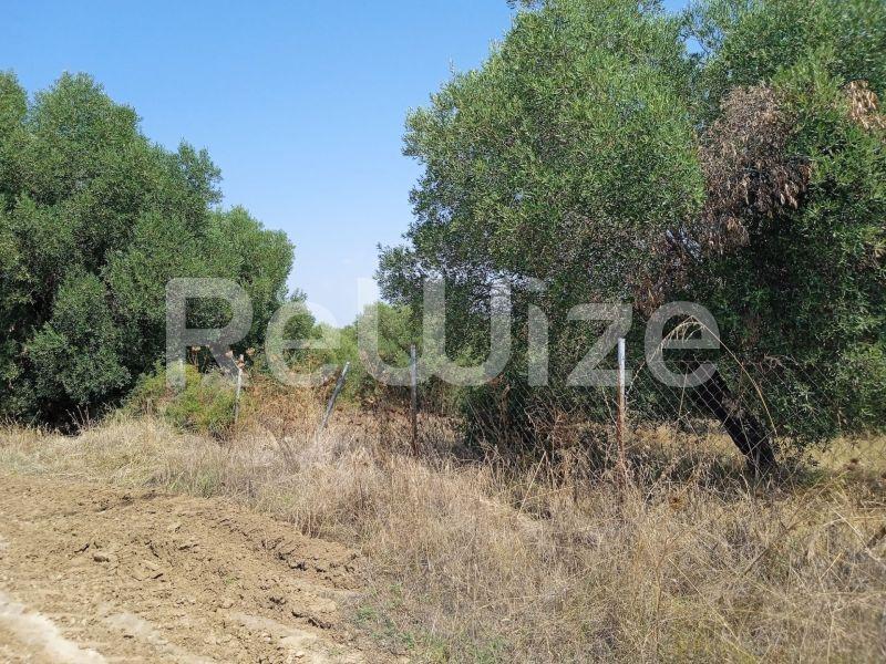 Photo 9,Landscape,SALE,Land,Field,5300sqm,€165,000,Poseidi