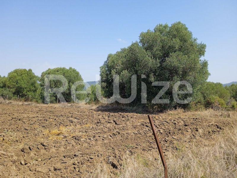 Photo 12,Landscape,SALE,Land,Field,5300sqm,€165,000,Poseidi