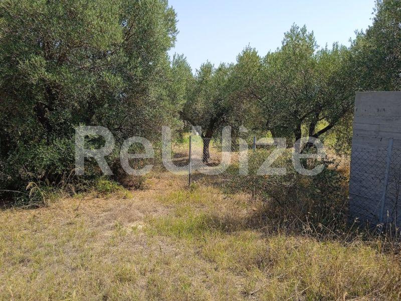 Photo 8,Landscape,SALE,Land,Field,5300sqm,€165,000,Poseidi