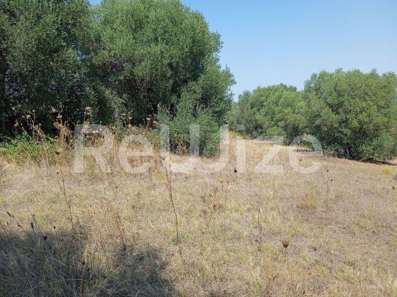 Photo 5,Landscape,SALE,Land,Field,5300sqm,€165,000,Poseidi