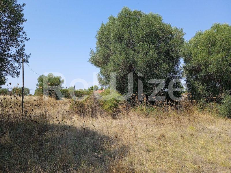 Photo 23,Landscape,SALE,Land,Field,5300sqm,€165,000,Poseidi