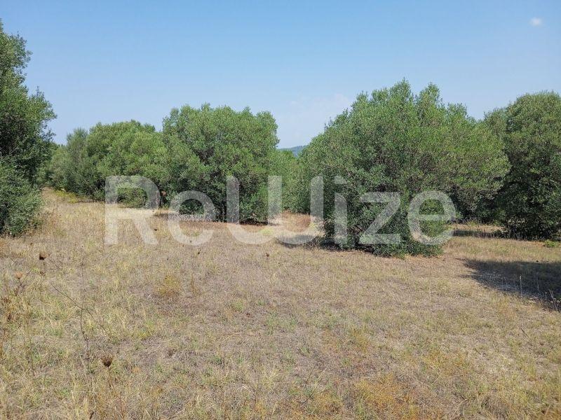 Photo 6,Landscape,SALE,Land,Field,5300sqm,€165,000,Poseidi