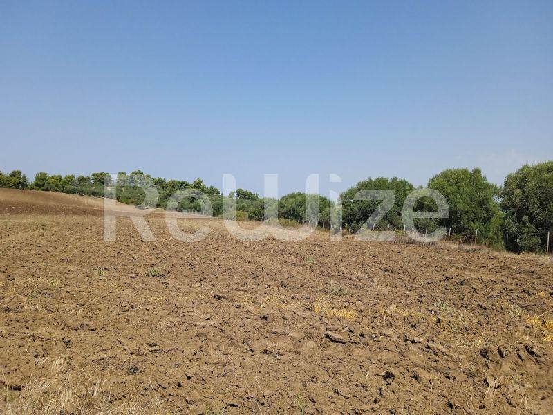 Photo 10,Landscape,SALE,Land,Field,5300sqm,€165,000,Poseidi
