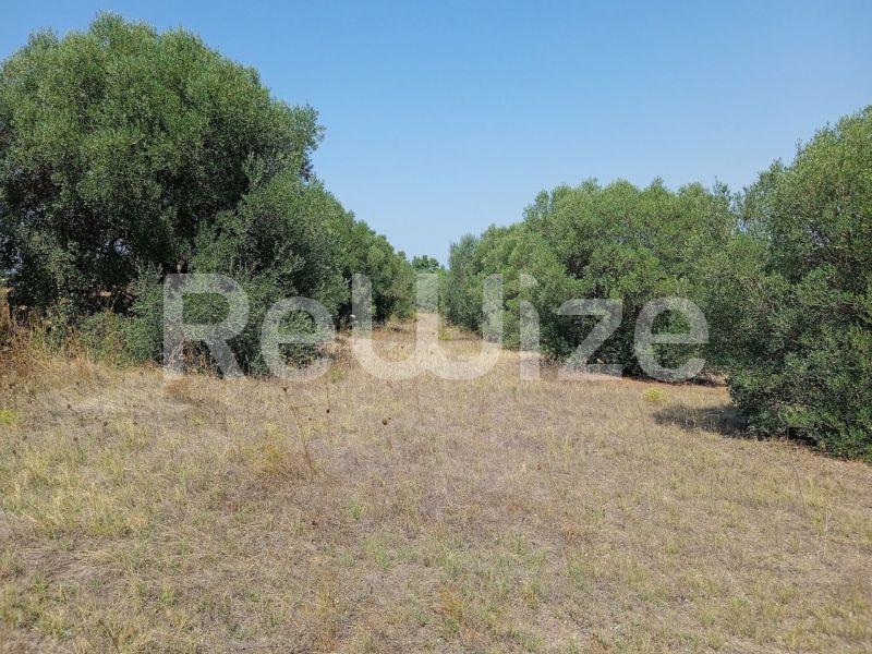 Photo 21,Landscape,SALE,Land,Field,5300sqm,€165,000,Poseidi