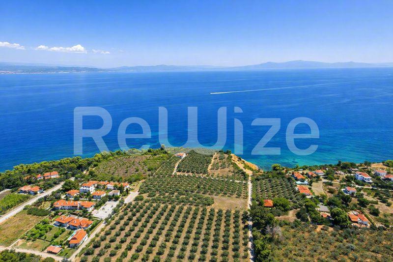 Εναέρια άποψη οικοπέδου στη Χαλκιδική με θέα στη θάλασσα, ελαιώνες και παραθαλάσσια περιβάλλοντα.