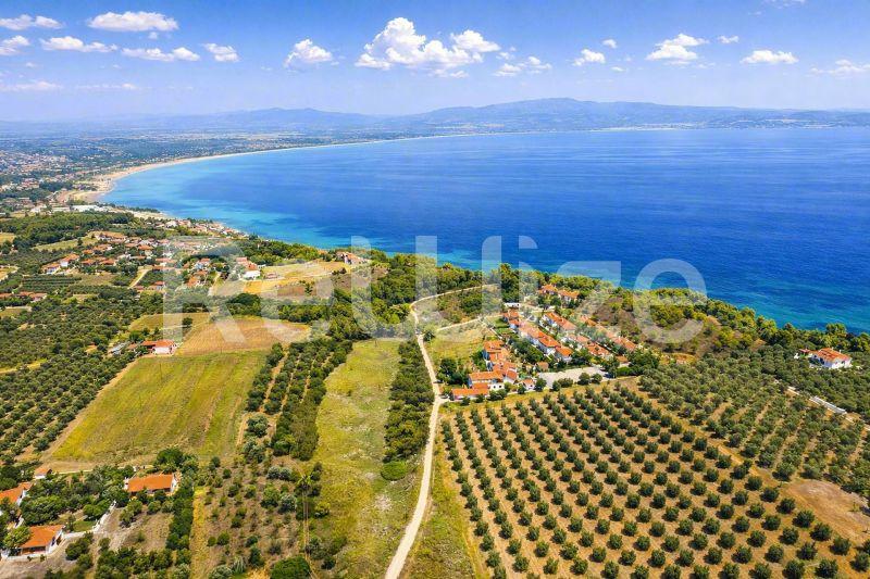 Εναέρια άποψη οικοπέδου στη Χαλκιδική με ελαιώνες, θέα στη θάλασσα και γαλάζια νερά.