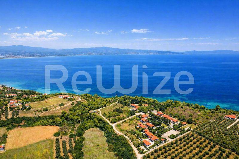 Αεροφωτογραφία οικοπέδου στη Χαλκιδική με θέα θάλασσα, ελαιώνες και πράσινη βλάστηση απέναντι στο Αιγαίο.