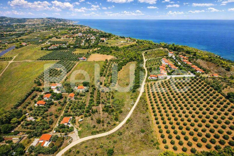 Εναέρια άποψη γεωργικής γης στη Χαλκιδική με ελαιώνες, περιβολές και μεσογειακή ακτογραμμή.