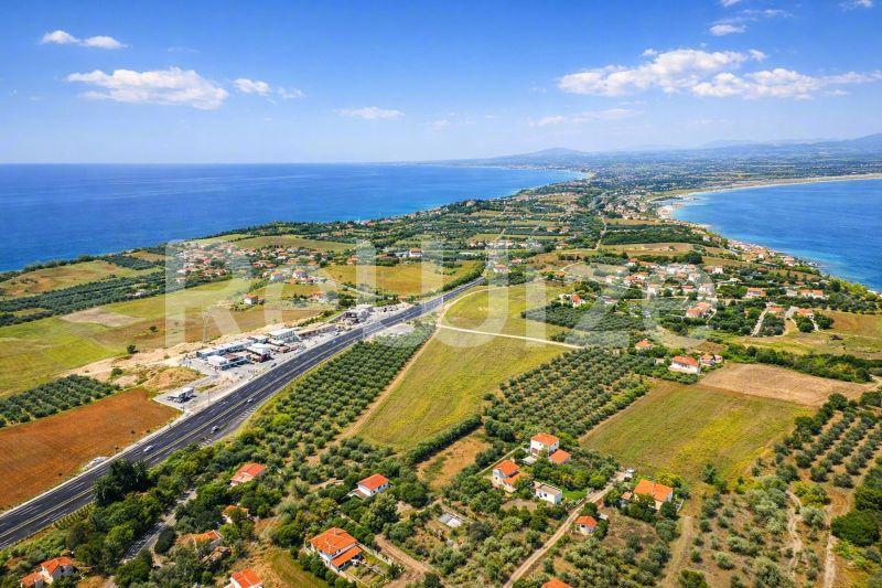 Εναέρια άποψη οικοπέδου στη Χαλκιδική με θάλασσα, ελαιώνες και πρόσβαση στο δρόμο.