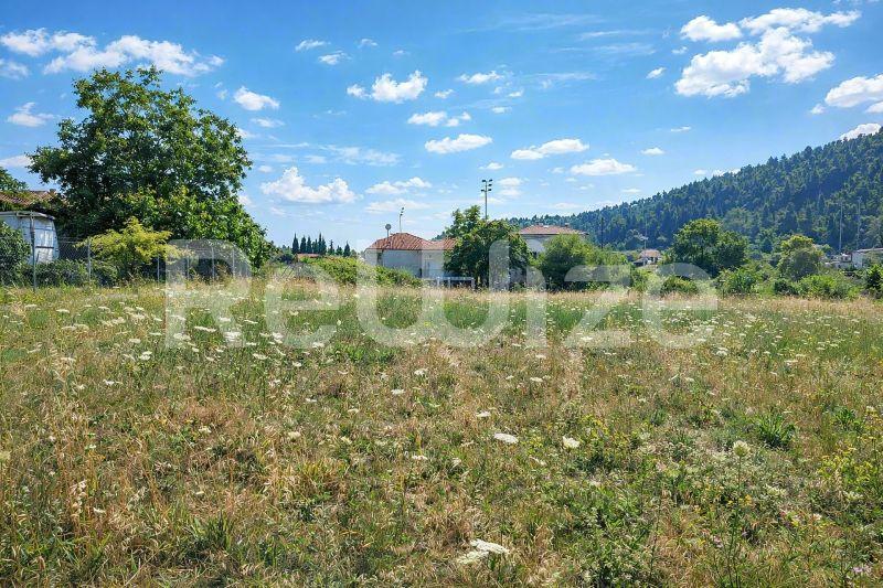 Просторο οικόπεδο στη Χαλκιδική με ανοιχτά χωράφια, δέντρα και θέα στα βουνά.