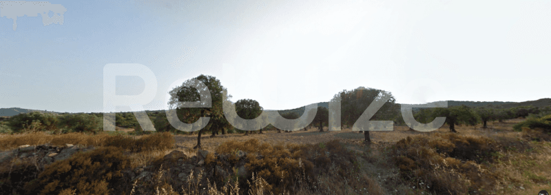 Photo 7,Landscape,SALE,Land,Field,8570sqm,€220,000,Akti Salonikiou