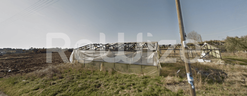 Photo 4,Τοπίο,ΠΏΛΗΣΗ,Γη,Αγροτεμάχιο,10000τ.μ,€180,000,Καλλικράτεια