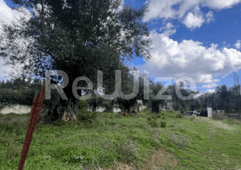 Photo 1,Πανοραμική Θέα,ΕΝΟΙΚΊΑΣΗ,Γη,Αγροτεμάχιο,1265τ.μ,€95,000,Ζάκυνθος
