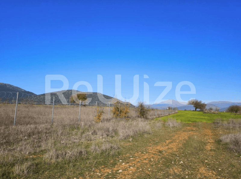 Photo 1,Εξωτερική,ΕΝΟΙΚΊΑΣΗ,Γη,Αγροτεμάχιο,2622τ.μ,€6,000,Τρίπολη