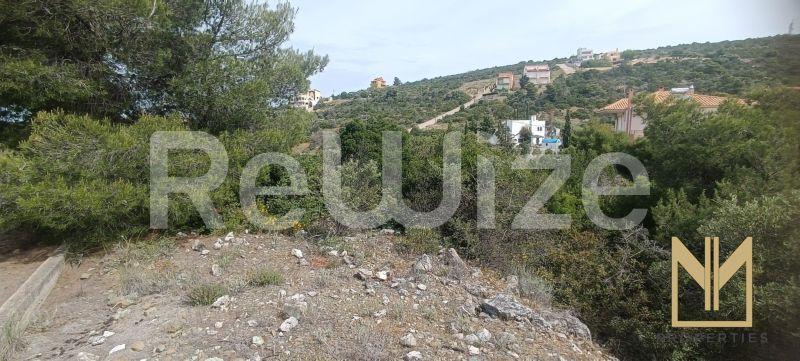 Photo 2,Θέα στο Βουνό,ΠΏΛΗΣΗ,Γη,Αγροτεμάχιο,1037τ.μ,€74,000,Μαλεσίνα