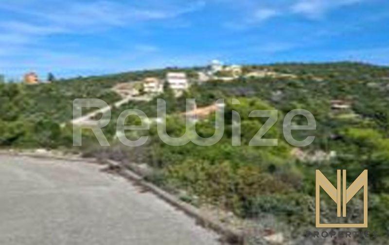 Photo 2,Εξωτερική,ΠΏΛΗΣΗ,Γη,Αγροτεμάχιο,1029τ.μ,€72,000,Μαλεσίνα