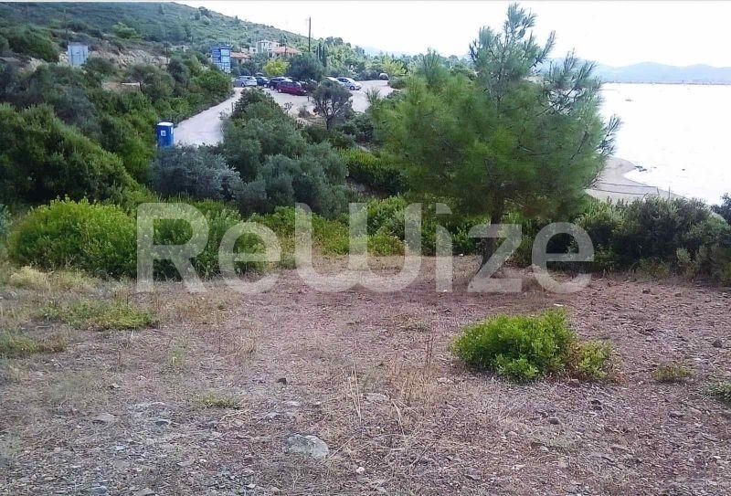 Photo 3,Θέα στη θάλασσα,ΠΏΛΗΣΗ,Γη,Αγροτεμάχιο,4913τ.μ,€600,000,Γερακινή