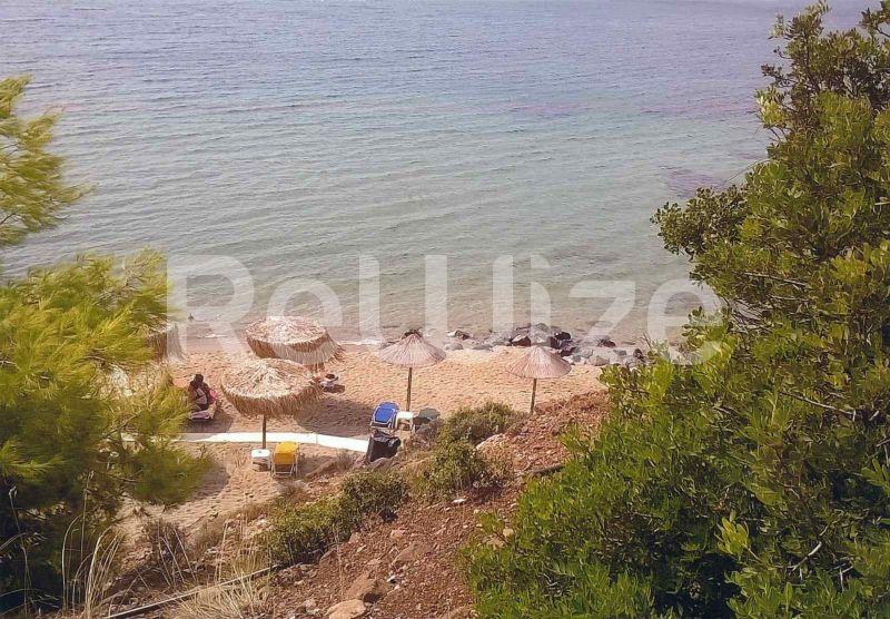 Photo 1,Παραλία,ΠΏΛΗΣΗ,Γη,Αγροτεμάχιο,4913τ.μ,€600,000,Γερακινή