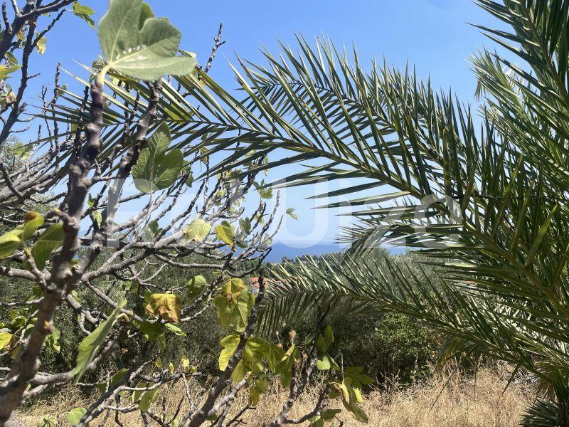 Photo 3,Sea View,SALE,Land,Plot,700sqm,€143,000,Kriopigi