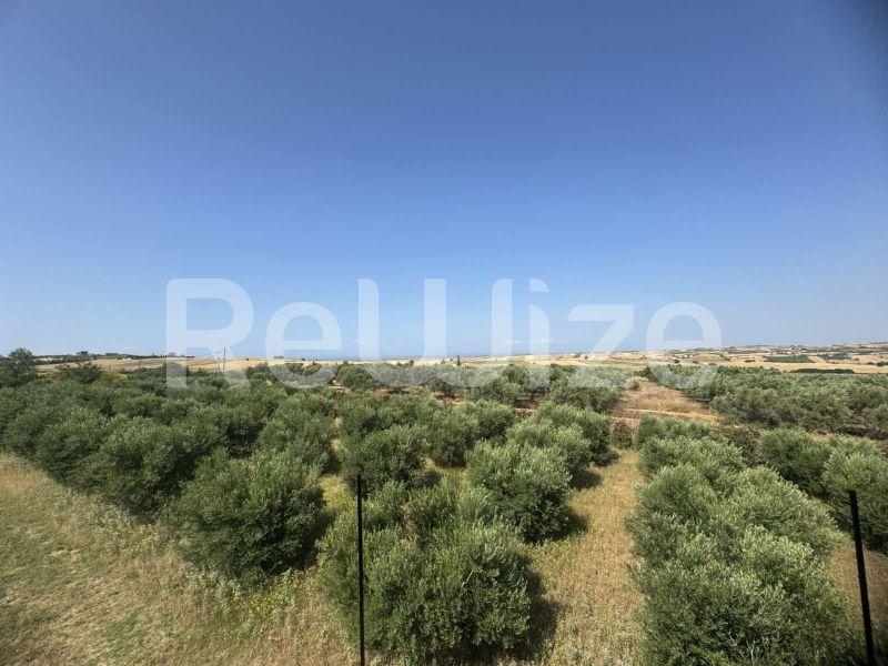 Photo 29,Outside,SALE,Residency,Detached house in a complex,520sqm,€550,000,Mesimeri