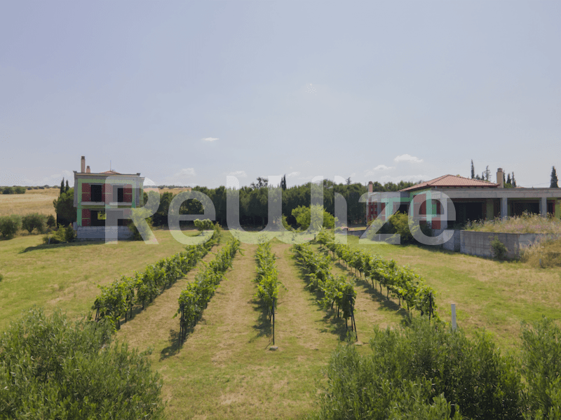 Photo 21,Outside,SALE,Residency,Detached house in a complex,520sqm,€550,000,Mesimeri