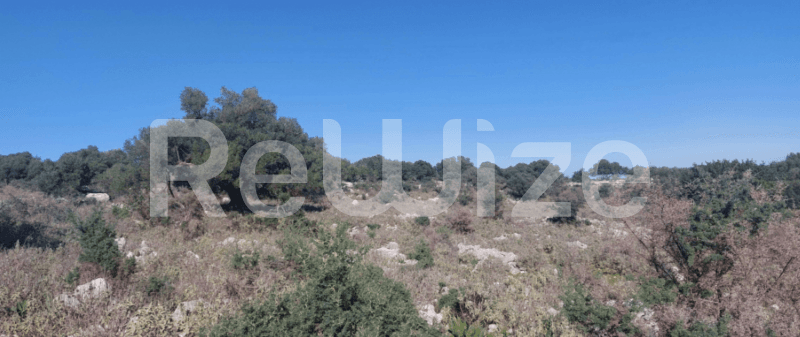 Photo 1,Εξωτερική,ΕΝΟΙΚΊΑΣΗ,Γη,Αγροτεμάχιο,13565τ.μ,€136,000,Σάμη
