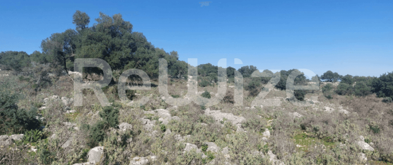 Photo 2,Θέα στη θάλασσα,ΕΝΟΙΚΊΑΣΗ,Γη,Αγροτεμάχιο,13565τ.μ,€136,000,Σάμη