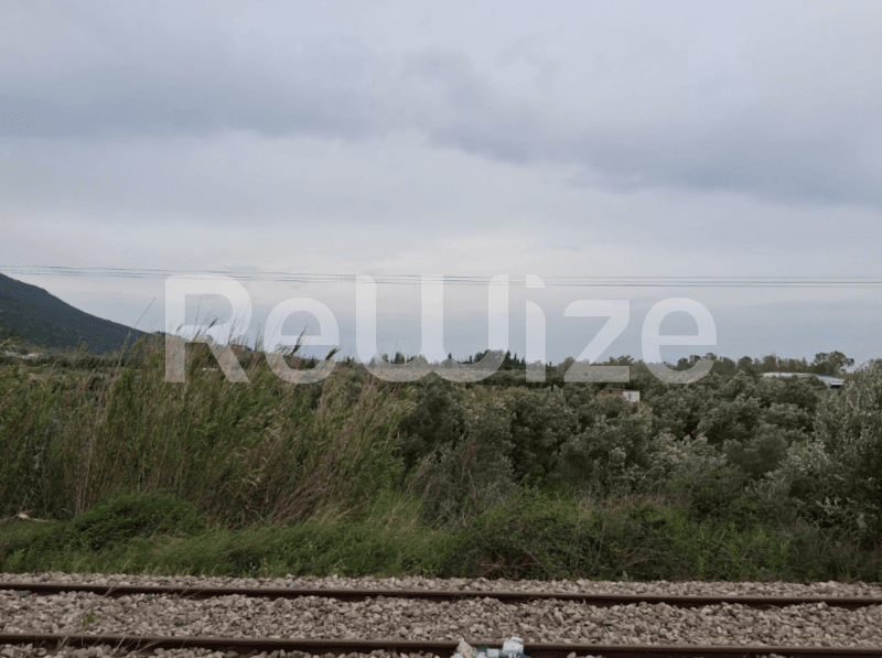 Photo 3,Θέα στη θάλασσα,ΕΝΟΙΚΊΑΣΗ,Γη,Αγροτεμάχιο,18660τ.μ,€17,500,Ευηνοχώρι