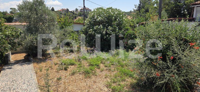 Photo 5,Εξωτερική,ΠΏΛΗΣΗ,Γη,Οικόπεδο,288τ.μ,€60,000,Αγία Τριάδα
