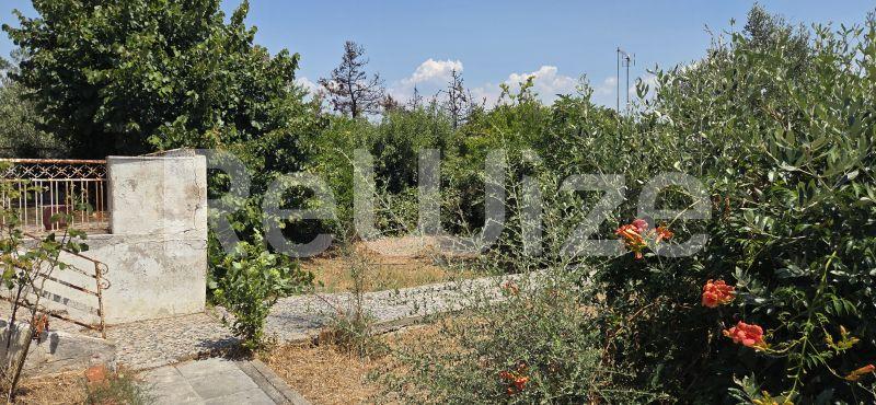 Photo 3,Εξωτερική,ΠΏΛΗΣΗ,Γη,Οικόπεδο,288τ.μ,€60,000,Αγία Τριάδα