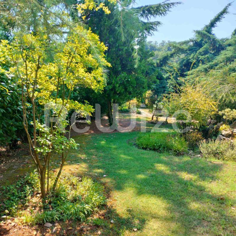 Photo 26,Garden,SALE,Residency,Detached house,330sqm,€550,000,Trilofos