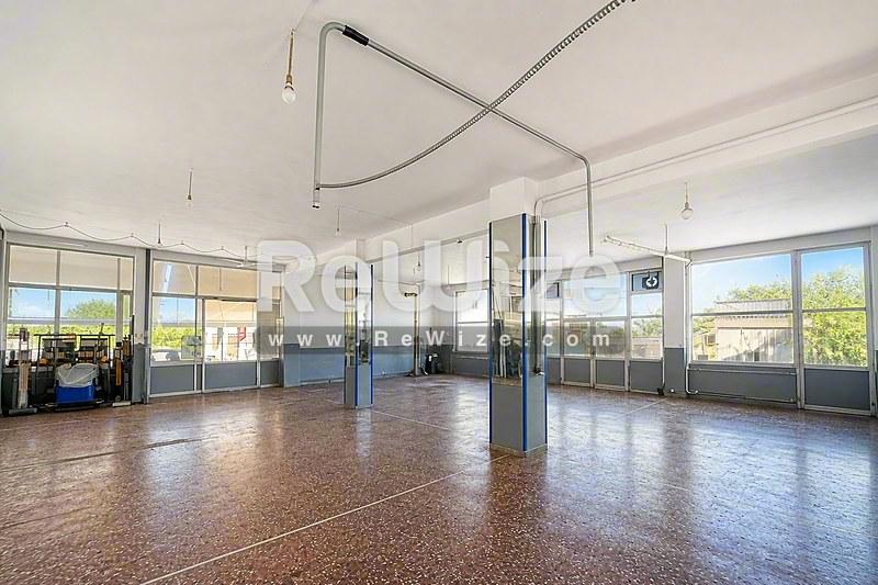 Σύγχρονη όψη μονοκατοικίας με χρυσαφί πέτρινη επένδυση και κήπο στη Χαλκιδική.
