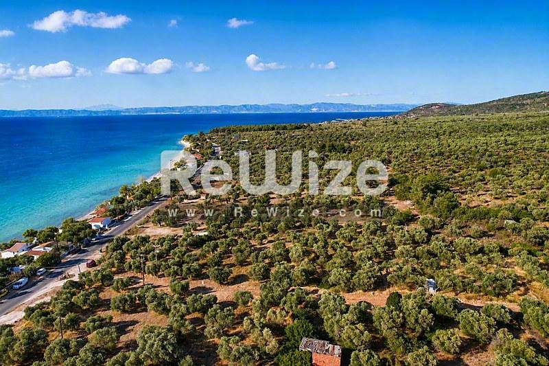 Αγροτεμάχιο 2050 τ.μ. στη Θάσο, φωτογραφία 3
