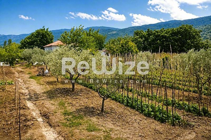 Αγροτεμάχιο 2792 τ.μ. στον Δήμο Ισταίας Αιδηψού, κήπος