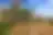 Field 2108 m² in Kassandra, photo 6